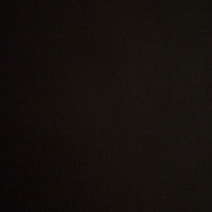 Meet your Posher, Bryce